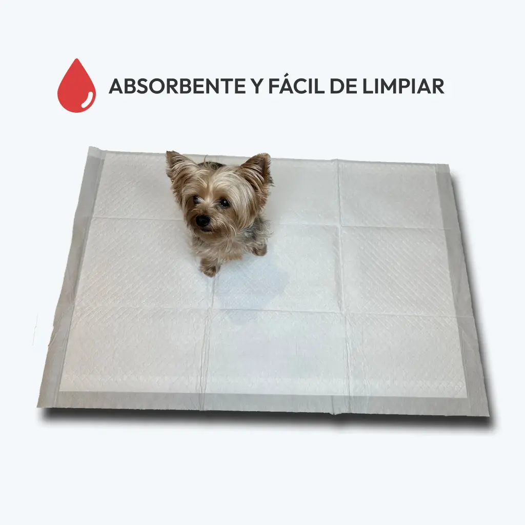 Almohadillas de entrenamiento para mascotas
